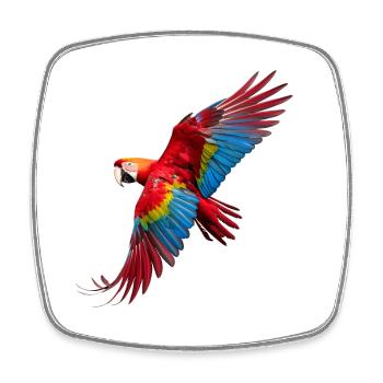 Farbenpracht Des Fliedenden Ara Papagei Parrot - Viereckiger Kühlschrankmagnet - Weiß - Vorne