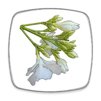 olianderblume, blütenzweig, Geschenkidee frau - Viereckiger Kühlschrankmagnet - Weiß - Vorne