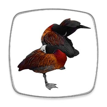 putzende Gänse, Wasservögel - Viereckiger Kühlschrankmagnet - Weiß - Vorne