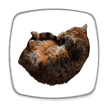 entspannte Katze, tabby motive - Viereckiger Kühlschrankmagnet - Weiß - Vorne