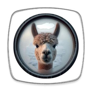 Alpaca looking through a window - Square fridge magnet - white - Front