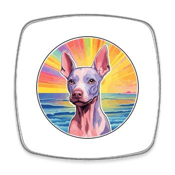 American Hairless Terrier Race de chien Carto coloré - Magnet carré - blanc - Devant