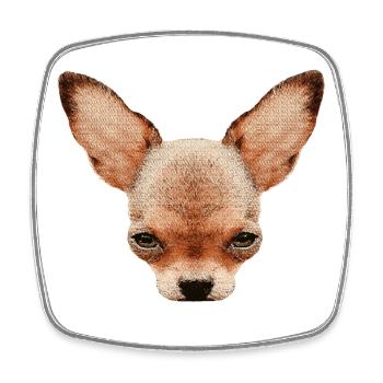 hündchen für baby, kurzhaar chihuahuakopf - Viereckiger Kühlschrankmagnet - Weiß - Vorne