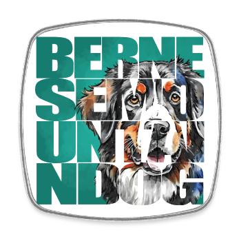 Bernese Mountain Dog Portrait - Square fridge magnet - white - Front