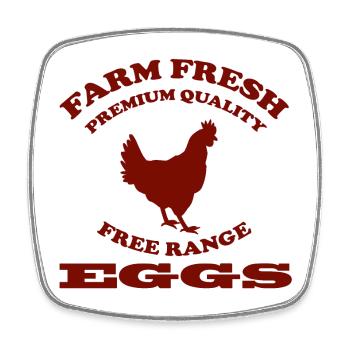 EGGS - Viereckiger Kühlschrankmagnet - Weiß - Vorne
