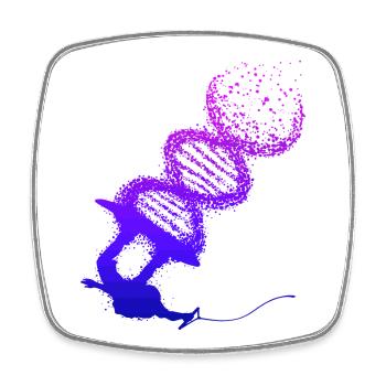 Stunt, Water Sports, Wakeboard, Surfing, Surfing - Square fridge magnet - white - Front