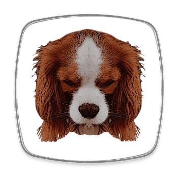 süße tierfotos, Cavalier King Charles Spaniel - Viereckiger Kühlschrankmagnet - Weiß - Vorne