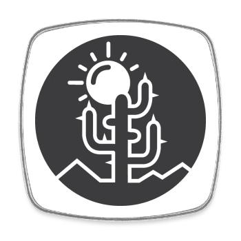 Kaktus Liebe Wüste Natur Sonne cactus Kakteen - Viereckiger Kühlschrankmagnet - Weiß - Vorne