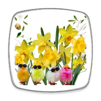 Poussins à lunettes et jonquilles  - Magnet carré - blanc - Devant