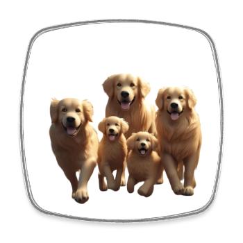 Golden Retriever Pack Parade - Magnet carré - blanc - Devant