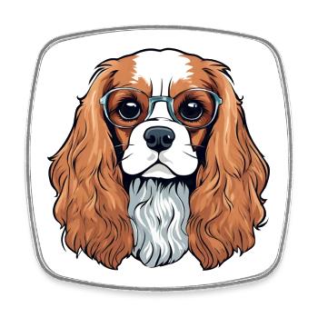 Cavalier King Charles, Dog, Cute Dog - Square fridge magnet - white - Front