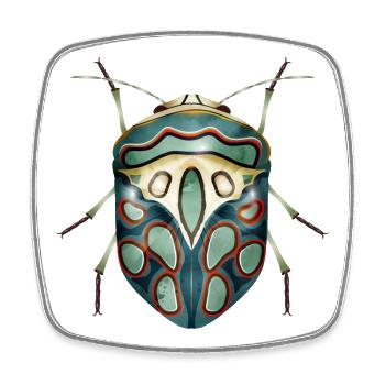 Sphaerocoris annulus fascinant effrayant crawly - Magnet carré - blanc - Devant