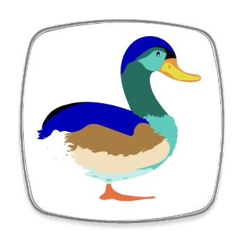 Joli Canard colvert coloré - Magnet carré - blanc - Devant