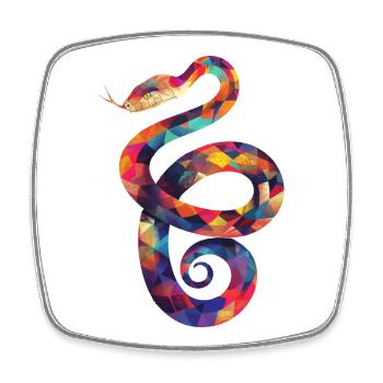 Illustration de Serpent coloré - Magnet carré - blanc - Devant