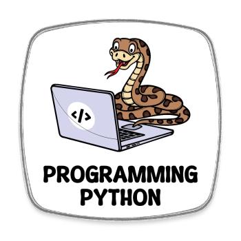 Developer Lustige Sprüche Programmierer Computer - Viereckiger Kühlschrankmagnet - Weiß - Vorne