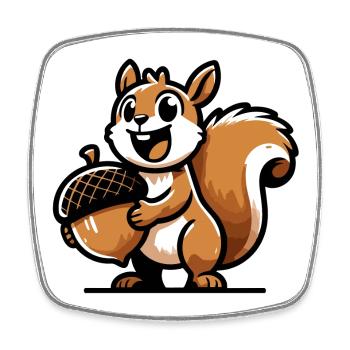 Acorn Ace : le navigateur cinglé - Magnet carré - blanc - Devant