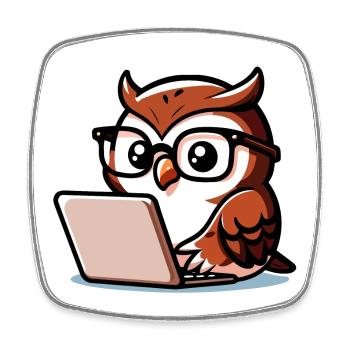 Wise Web Owl: The Knowledge Navigator - Square fridge magnet - white - Front