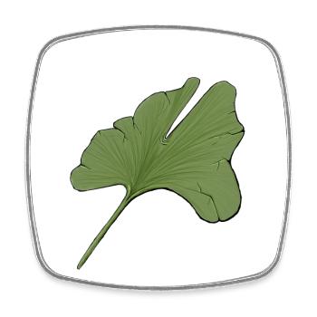 Feuille ginkgo verte stylisée - Magnet carré - blanc - Devant