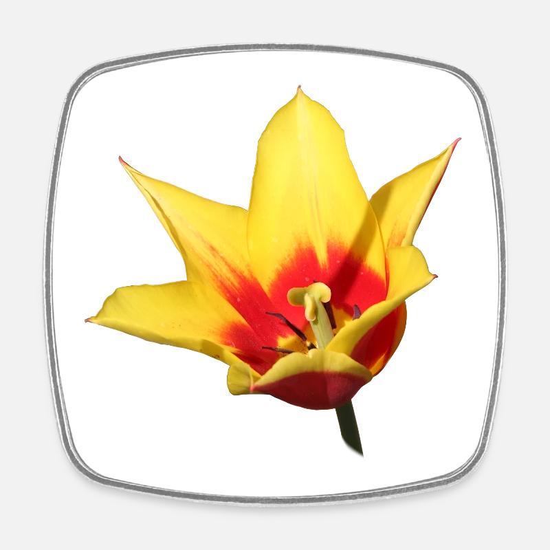 Tulpe – Frühlingserwachen in Farbe - Viereckiger Kühlschrankmagnet - Weiß
