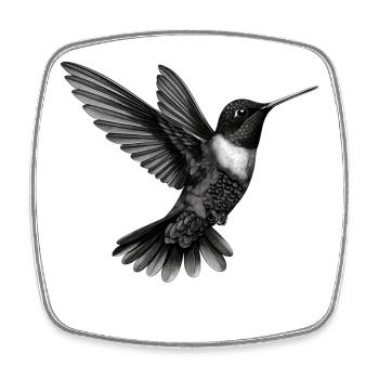 Kolibri | Hummingbird - Viereckiger Kühlschrankmagnet - Weiß - Vorne