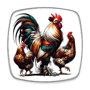 Magnificent colorful rooster with two hens in the yard - Square fridge magnet - white - Front