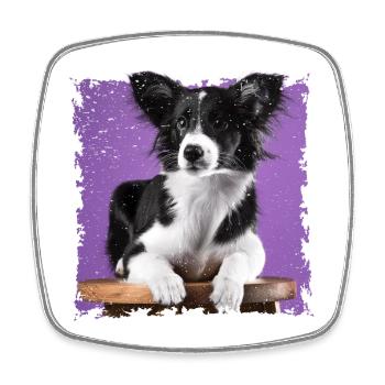 Dog sitting on stool - Square fridge magnet - white - Front