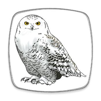 Snowy owl white - Square fridge magnet - white - Front