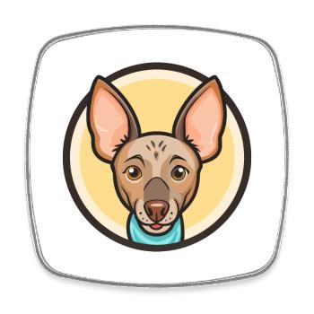 American Hairless Terrier Dog Breed Cartoon Kawaii - Square fridge magnet - white - Front