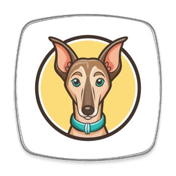 Azawakh-Hunderasse, Zeichentrickfigur, Kawaii Clipart - Viereckiger Kühlschrankmagnet - Weiß - Vorne