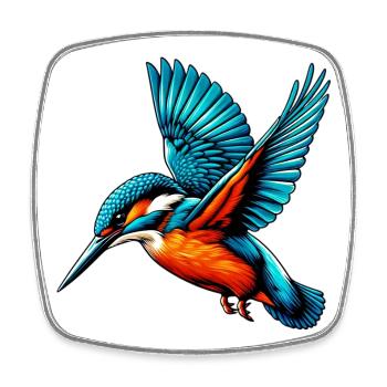 Martin-pêcheur - Magnet carré - blanc - Devant
