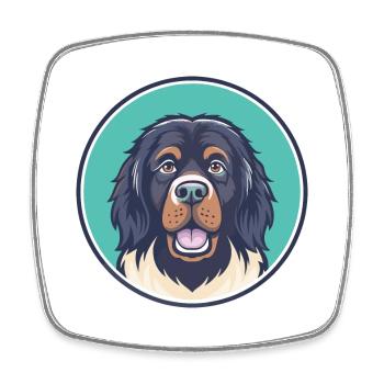 Newfoundland Dog Breed Cartoon Kawaii Clipart Pet - Square fridge magnet - white - Front