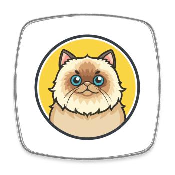 Colorpoint Chat Persan Race Dessin animé Kawaii Animal - Magnet carré - blanc - Devant
