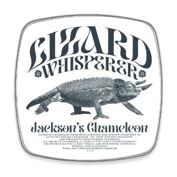 Le lézard caméléon de Jackson qui chuchote à l’oreille - Magnet carré - blanc - Devant