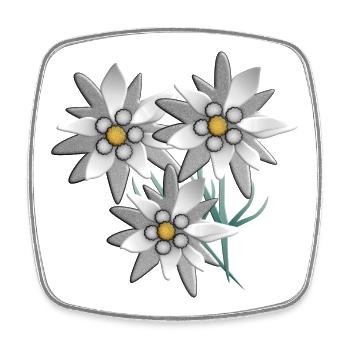 Snow white edelweiss flower print - Square fridge magnet - white - Front