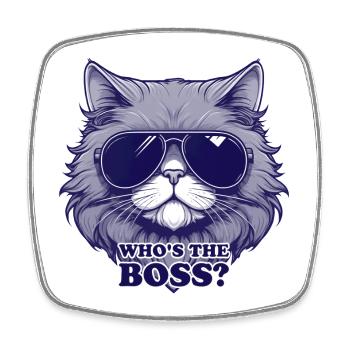 Stylish Cat with Sunglasses - Square fridge magnet - white - Front