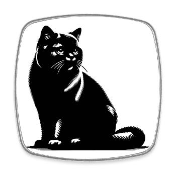 Chat British Shorthair - Magnet carré - blanc - Devant