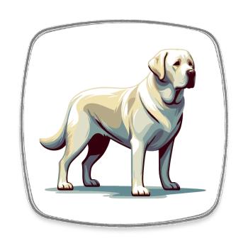 Stehender weißer Labrador - Viereckiger Kühlschrankmagnet - Weiß - Vorne