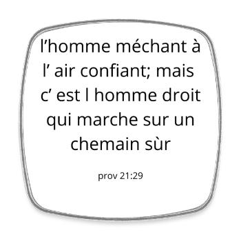 Proverbe - Magnet carré - blanc - Devant
