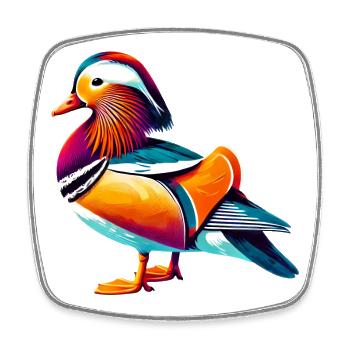 Mandarinente - Viereckiger Kühlschrankmagnet - Weiß - Vorne