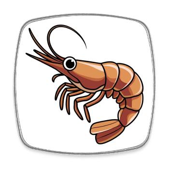 Bold Orange Shrimp Cartoon for Apparel - Square fridge magnet - white - Front
