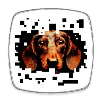 Rauhaariger Dackel Pixelart - Viereckiger Kühlschrankmagnet - Weiß - Vorne