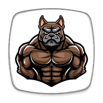 Bulldog Dog Muscles Bodybuilding - Square fridge magnet - white - Front