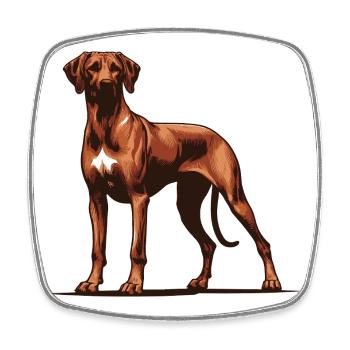 Rhodésian Ridgeback - Magnet carré - blanc - Devant