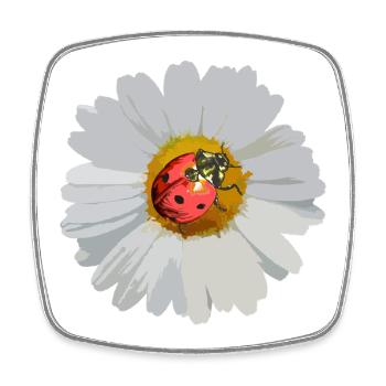 Daisies with Ladybug Motif - Square fridge magnet - white - Front