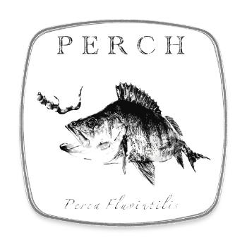 Perch Angler - Artificial lures for predatory fish - Square fridge magnet - white - Front