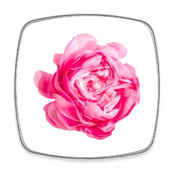 Blume Prinzessin Alexandra von Kent Rose - Viereckiger Kühlschrankmagnet - Weiß - Vorne