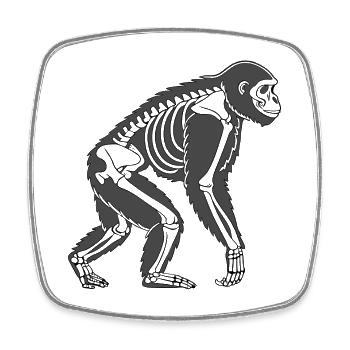 Gorilla Skelett – Dunkles Tierdesign im Vektorstil - Viereckiger Kühlschrankmagnet - Weiß - Vorne