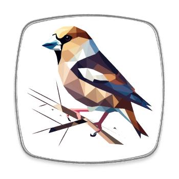 Hawfinch Bird – Nature's Play of Colours - Square fridge magnet - white - Front