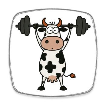 Drôle de vache barre d’entraînement Fitness Musculation - Magnet carré - blanc - Devant