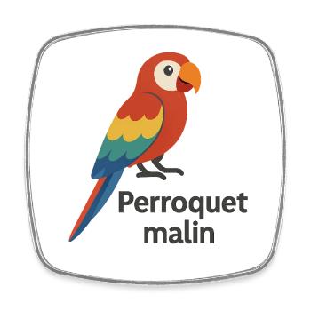 Perroquet coloré "Perroquet malin" - Magnet carré - blanc - Devant